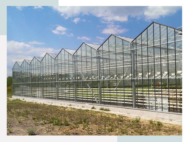 Строительство теплиц в Ногинск от 608 руб. за м²