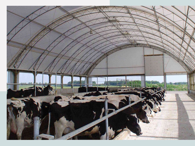 Тентовые коровники в Ногинске